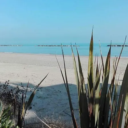 Cupramare Cupra Marittima